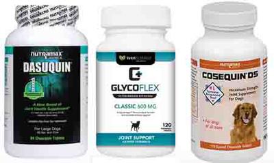 Dog supplements 2025 for torn acl